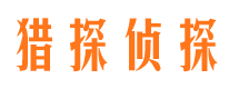 于洪侦探公司